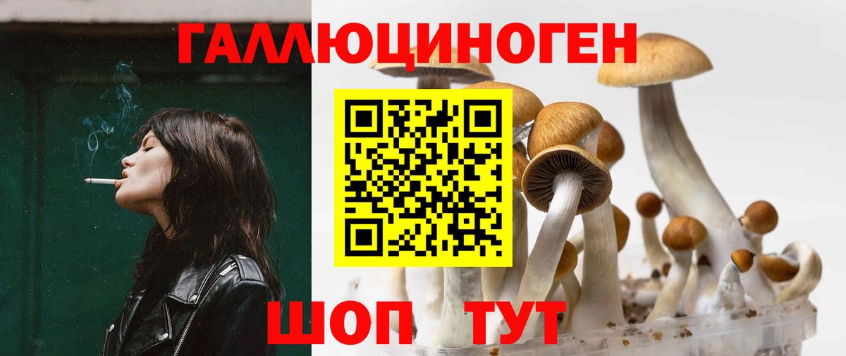 Галлюциногенные грибы мицелий  Вход с VPN  Майкоп 